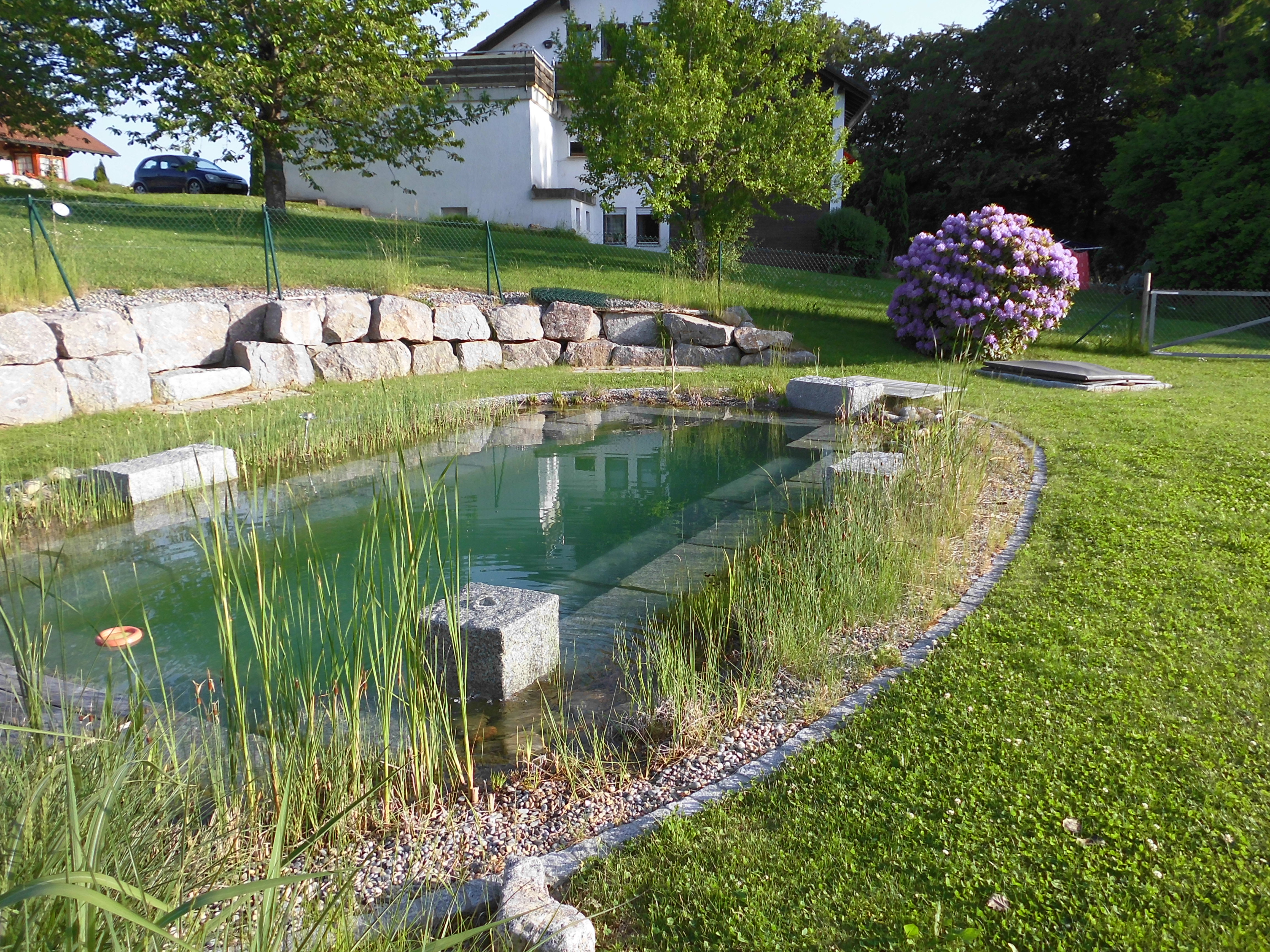 Teaser-Bild zu Wasser im Garten