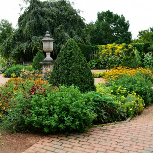 Thumbnail zu Gartenneuanlagen